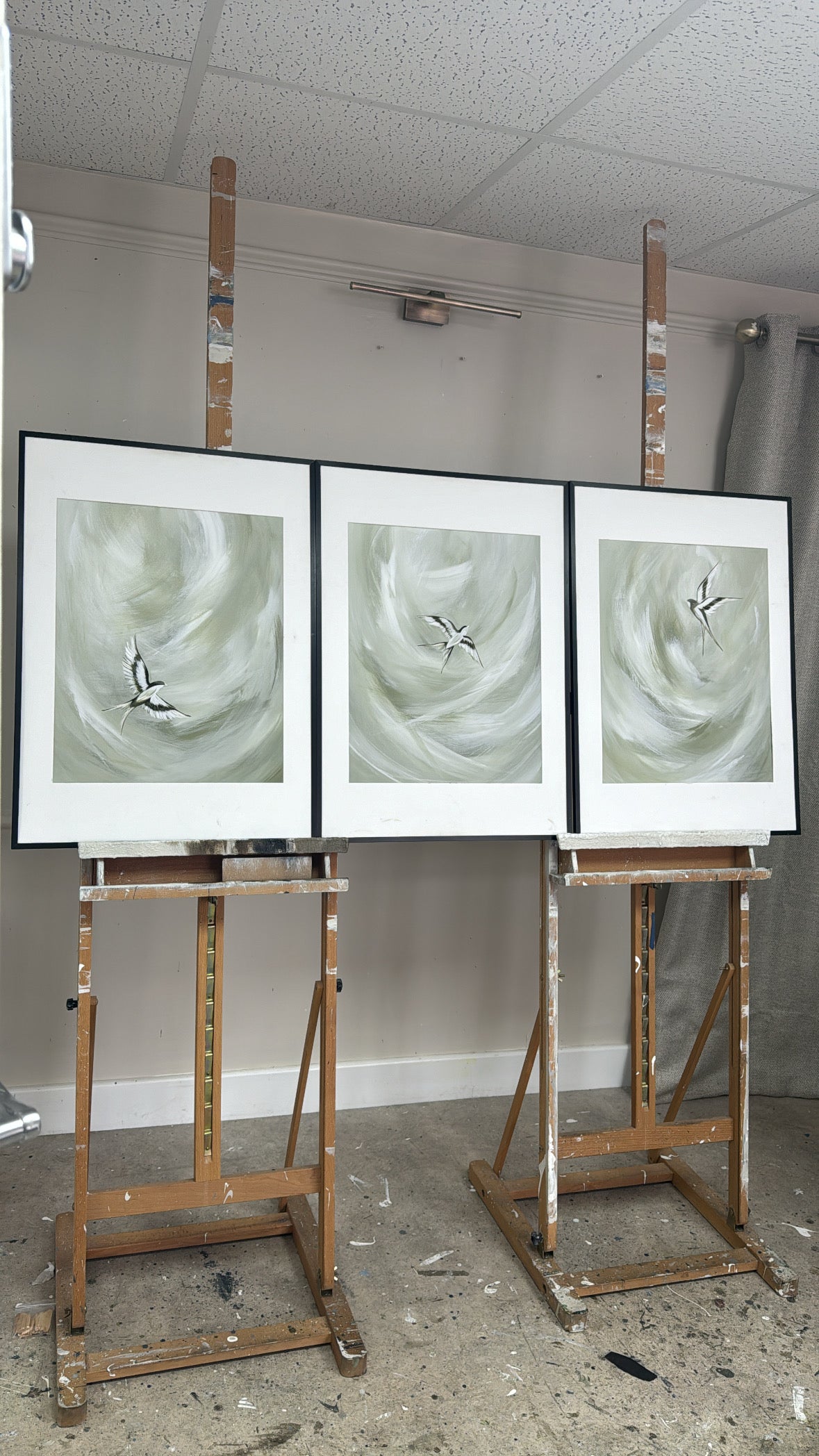 The Trio or Duo of 'Tranquil Trio Sage' Fine Art Prints