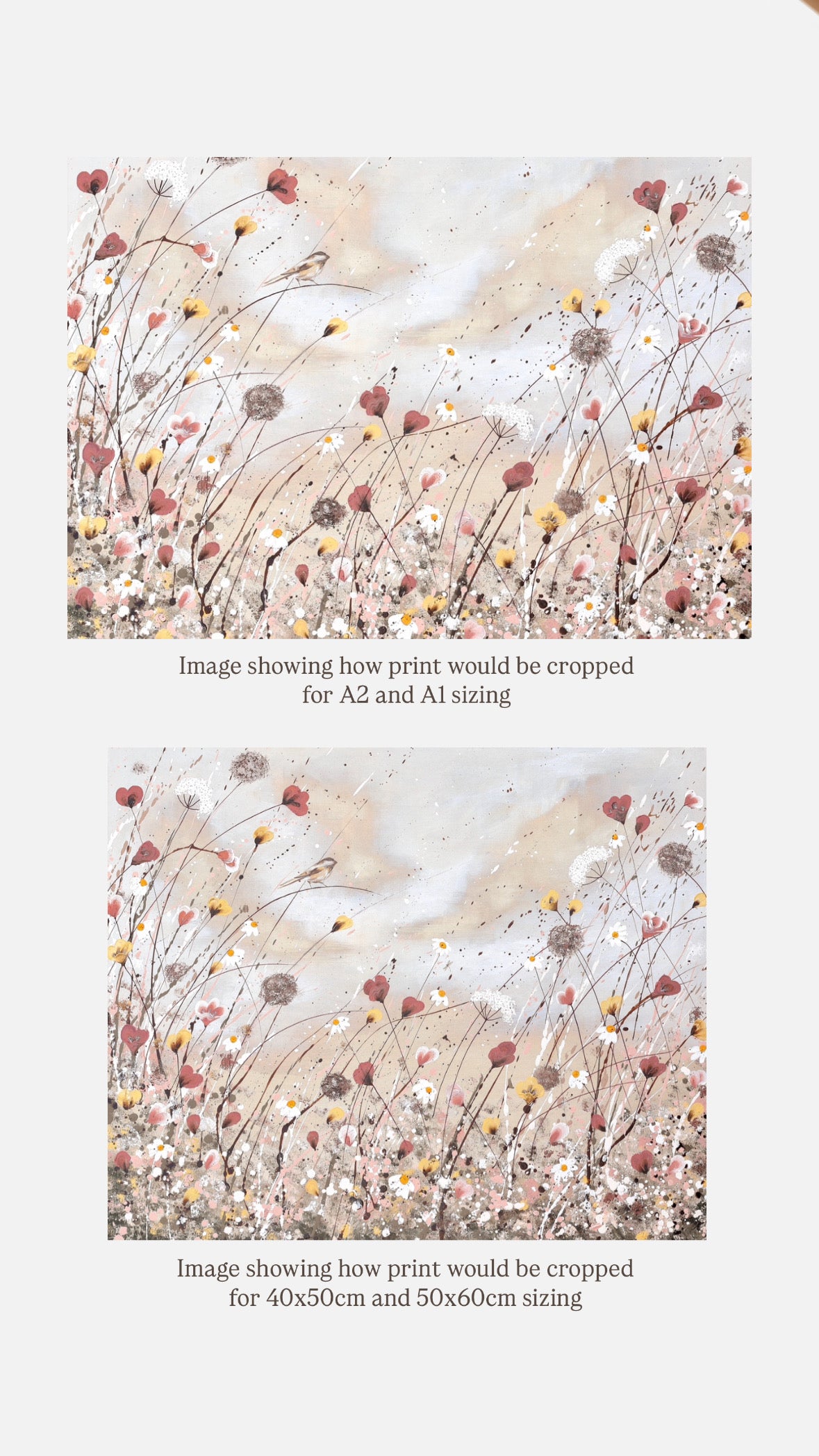 “Where Life Meets Light” Fine Art Landscape Print (LIMITED EDITION)